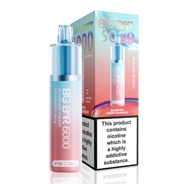 Feoba Big Bar 6000 Puffs Prefilled Vape - Image 2