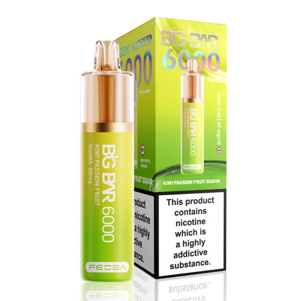 Feoba Big Bar 6000 Puffs Prefilled Vape - Image 11