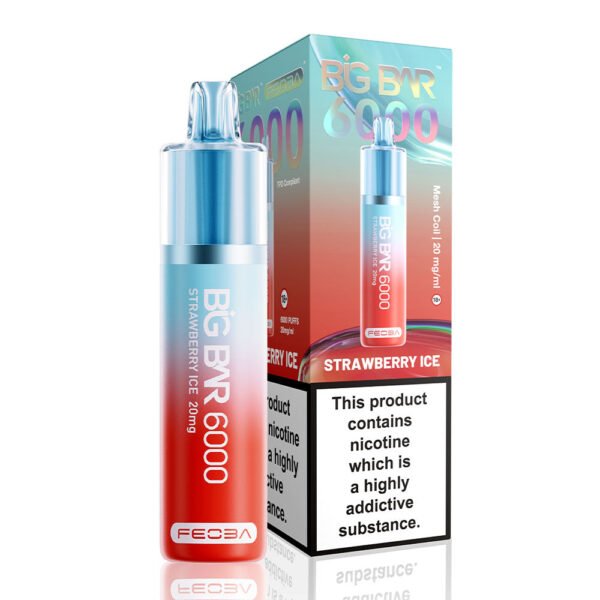 Feoba Big Bar 6000 Puffs Prefilled Vape - Image 17