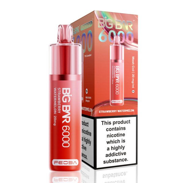 Feoba Big Bar 6000 Puffs Prefilled Vape - Image 20