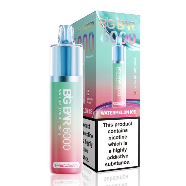 Feoba Big Bar 6000 Puffs Prefilled Vape - Image 21