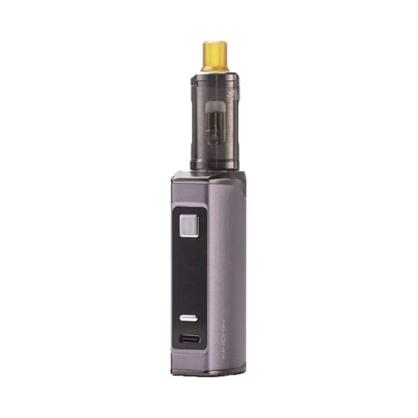 Innokin Endura T22 Pro Vape Starter Kit - Image 13